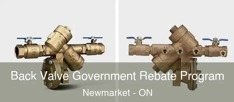  Back Valve Government Rebate Program Newmarket - ON