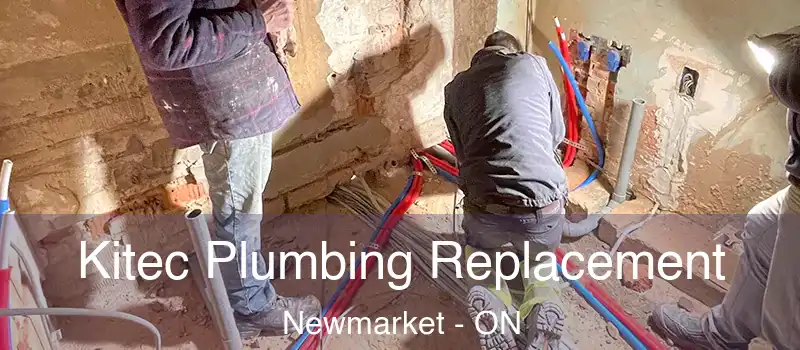  Kitec Plumbing Replacement Newmarket - ON