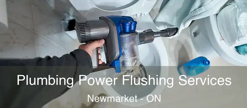  Plumbing Power Flushing Services Newmarket - ON